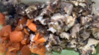 【宅配クック123】空き家の除草作業を減らすコツ。2025.8.24朝食 