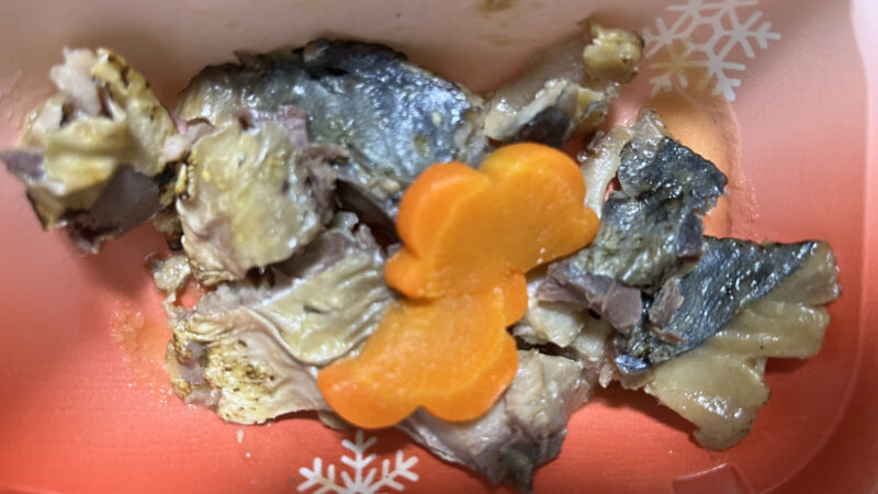 【宅配クック123】人工芝の交換！？2025.12.30朝食 