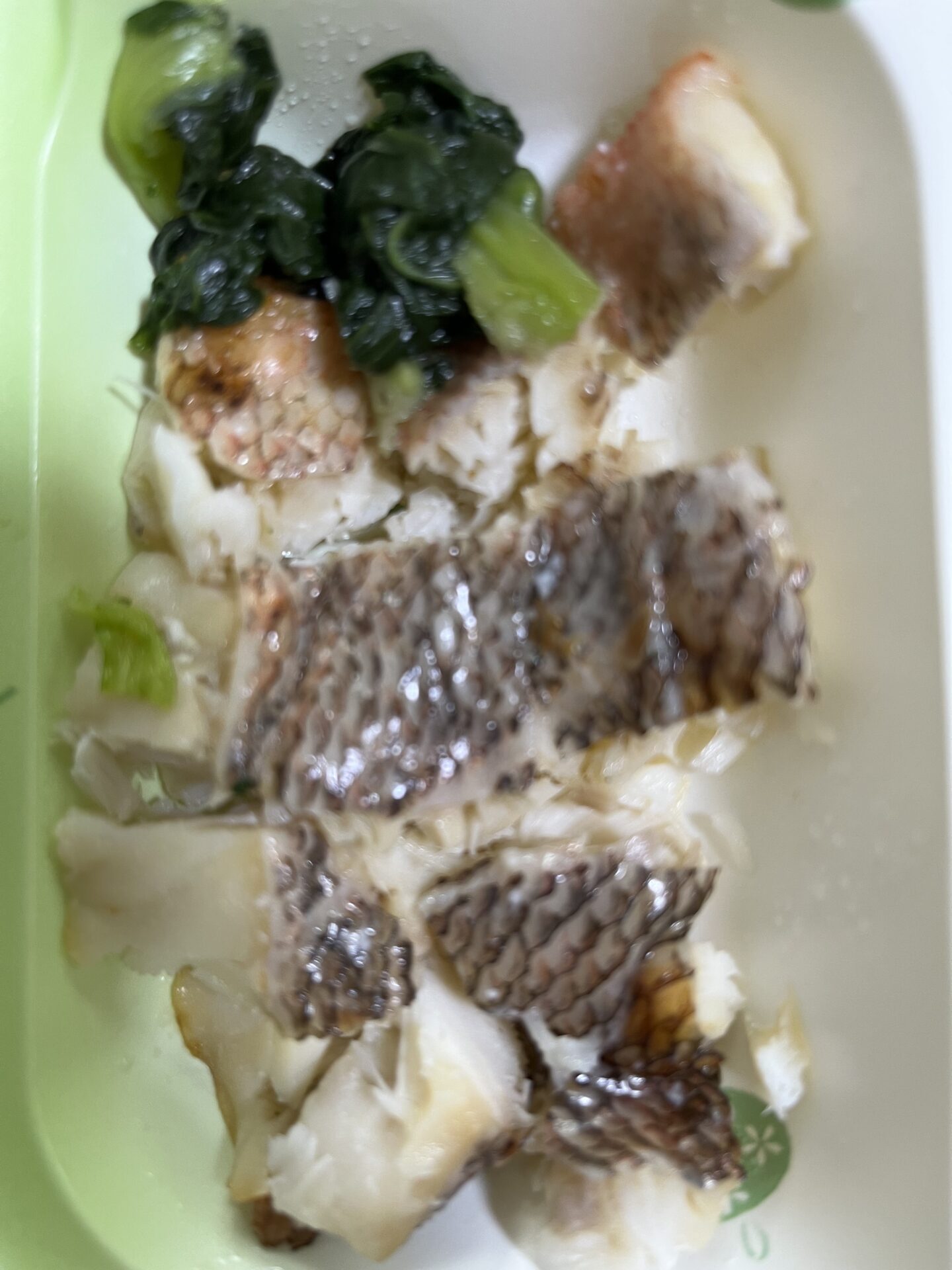 宅配クック123
メバル塩焼き
2025.8.14朝食